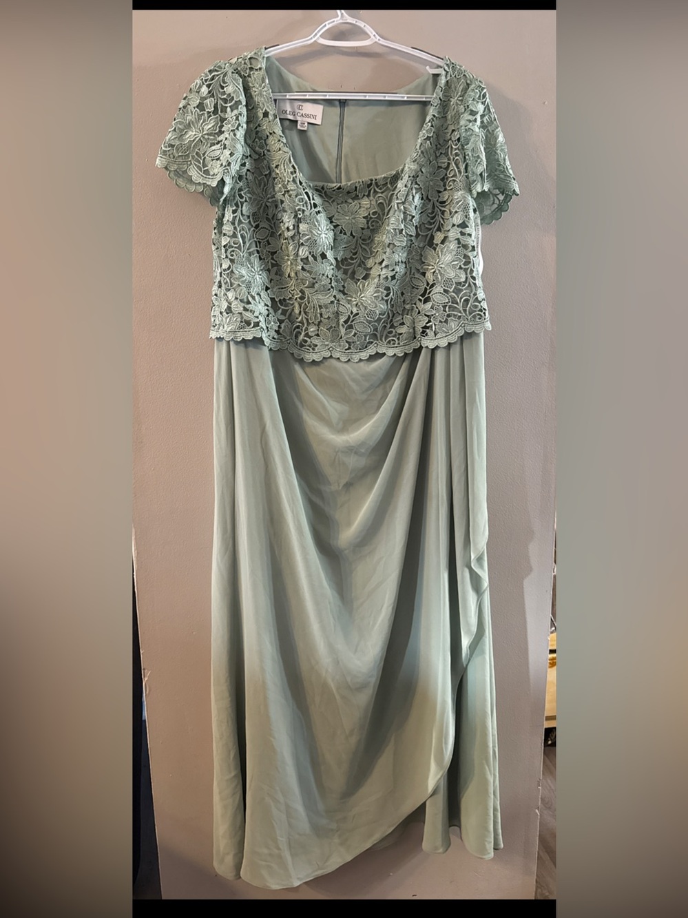 Oleg Cassini Green Chiffon & Lace Empire Gown 18W Orig $249 Ruffle
Y26
Subtítulo
